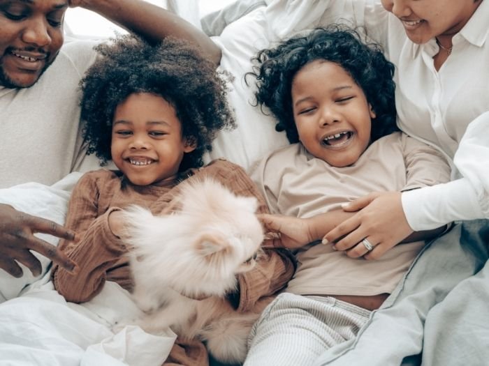 Constelação Familiar em Macedônia