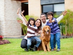Constelação Familiar em Novo Repartimento