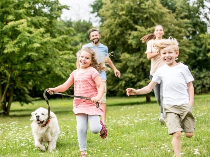 Constelação Familiar em Sorriso