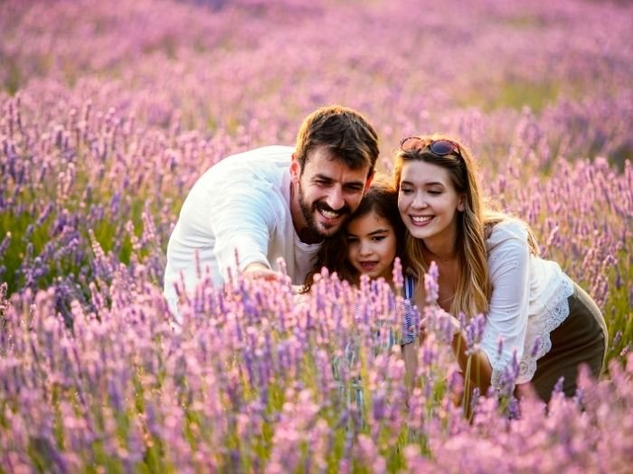 Constelações Familiares Amapá